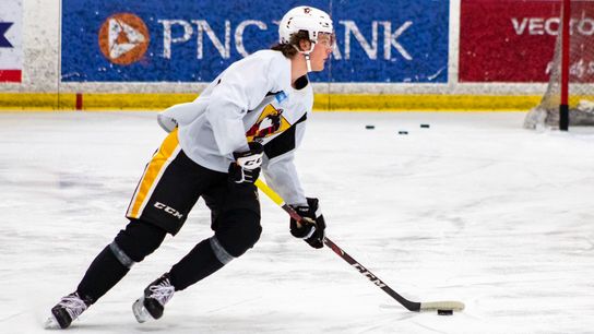 Pickering assigned to Wilkes-Barre after junior season ends taken at PPG Paints Arena (Penguins)